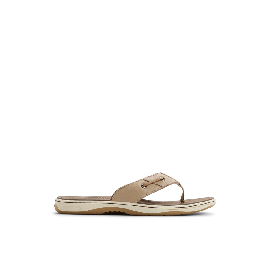 Baitfish Thong Sandal image 1